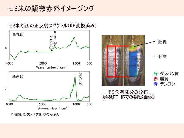 FT-IR-受託依頼分析イメージ